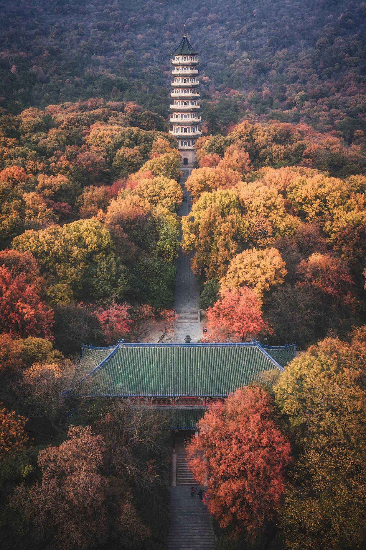 南京秋天11个最美景点:目光所及皆是浪漫秋色,一起来邂逅吧