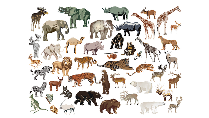 起底哺乳动物演化路线