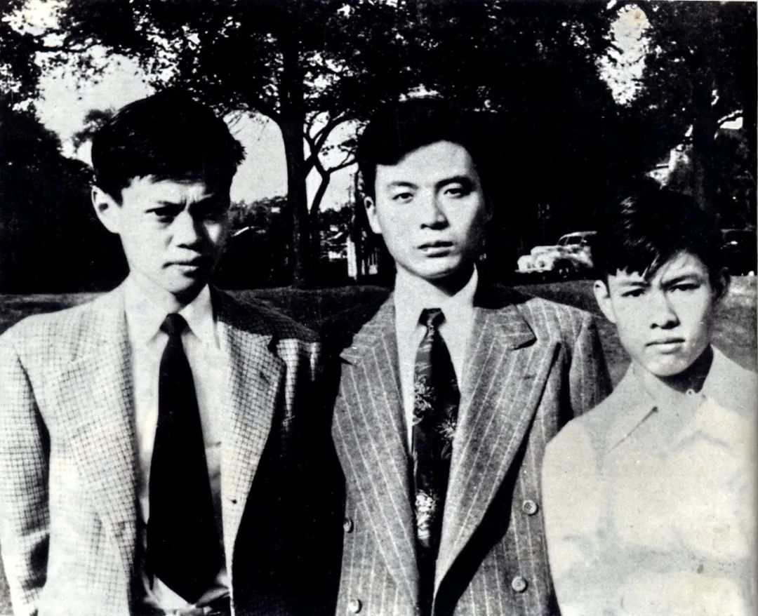 如果没有杨振宁,我们也许会失去邓稼先