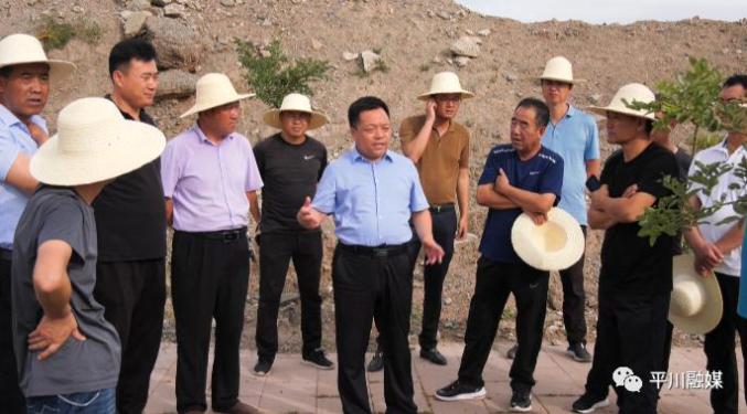 郝效冬调研响泉村美丽乡村建设工作