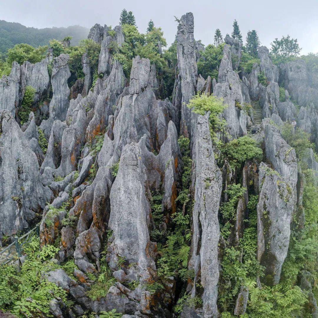 华蓥山地质公园图片