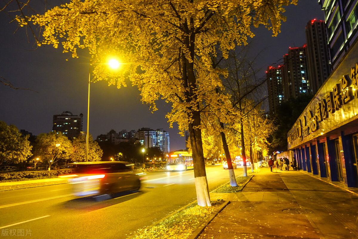 深秋路灯夜景图片