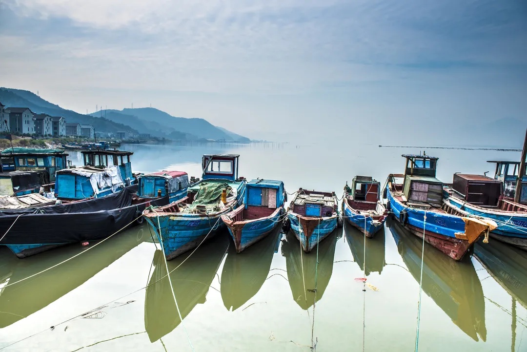 一条路给宁海小渔村增添了诗与远方