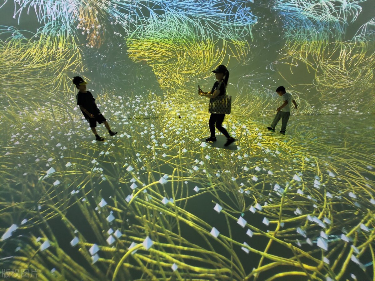 湖北武汉光谷人工智能ai艺术展:融合科技与艺术的未来之景