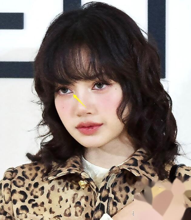 lisa神秘现身活动朋克装扮惊艳众人粉丝善举温暖甘肃