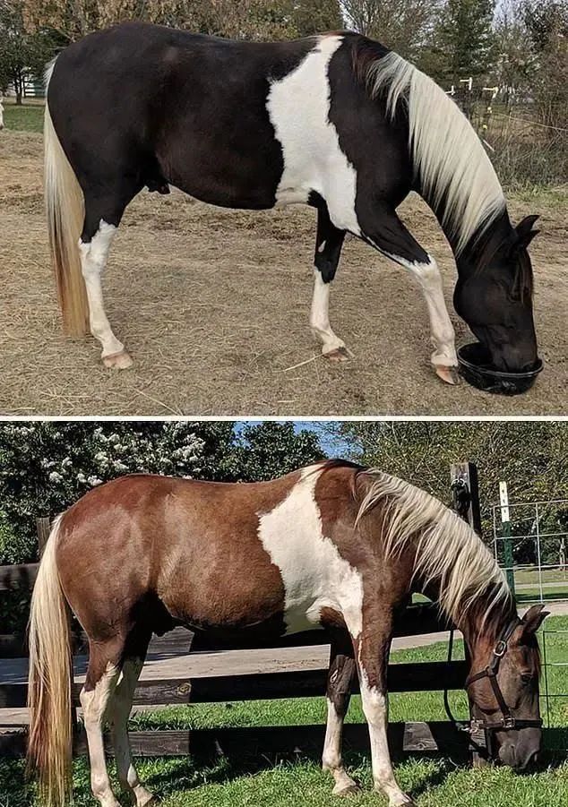 38张对比照片展示同一事物惊人的变化