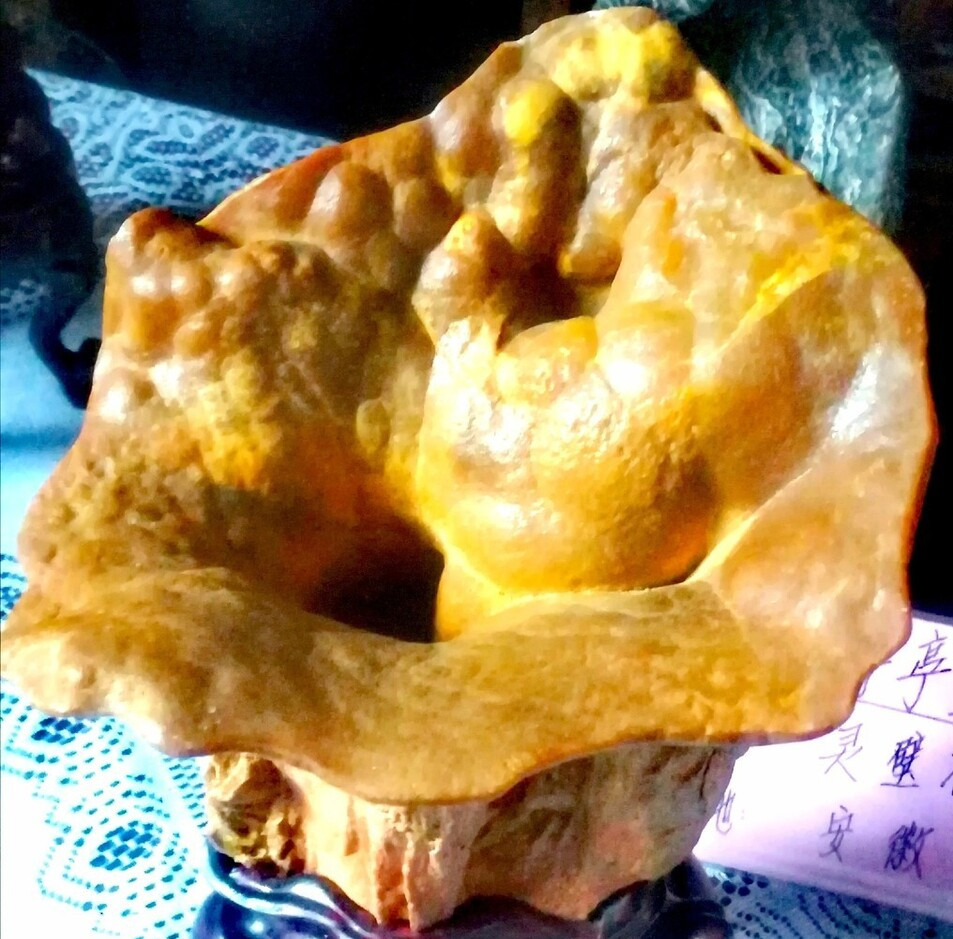 奇石的价格是交易出来的,好石头交易的次数越多越值钱