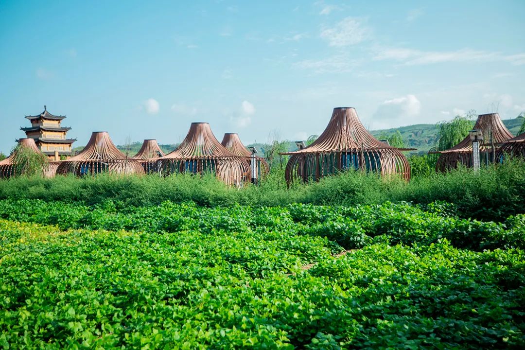 大美石窑,中国醉美石窑四合院落,陕北民俗文化领略基地,沿黄旅游驿站