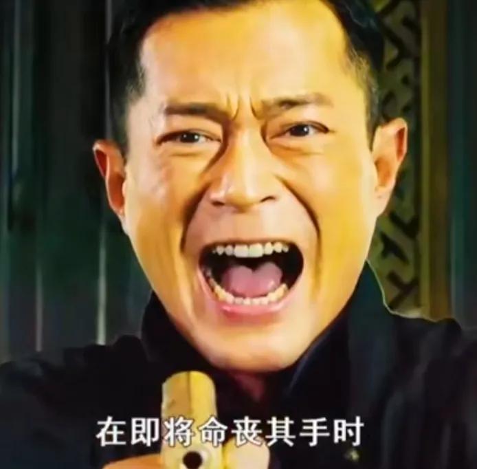 有没有看过古天乐参演的《危城》?