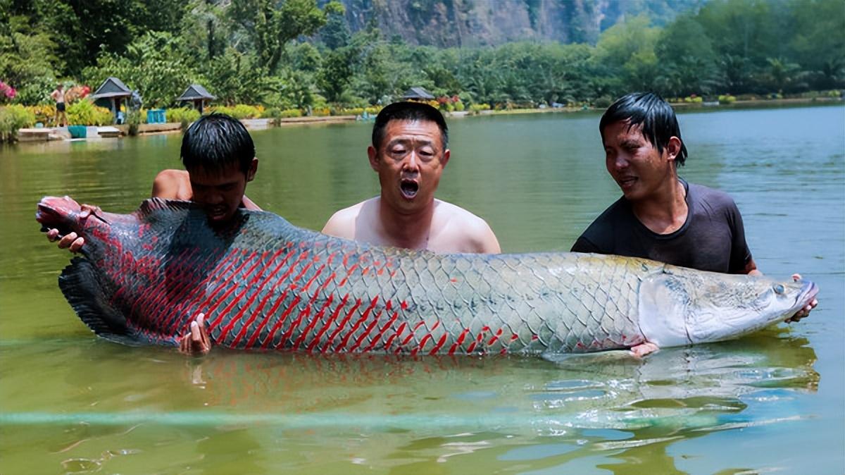 2019年,泰国一位男子出海钓鱼,捡到的12枚海石卖出350万泰铢