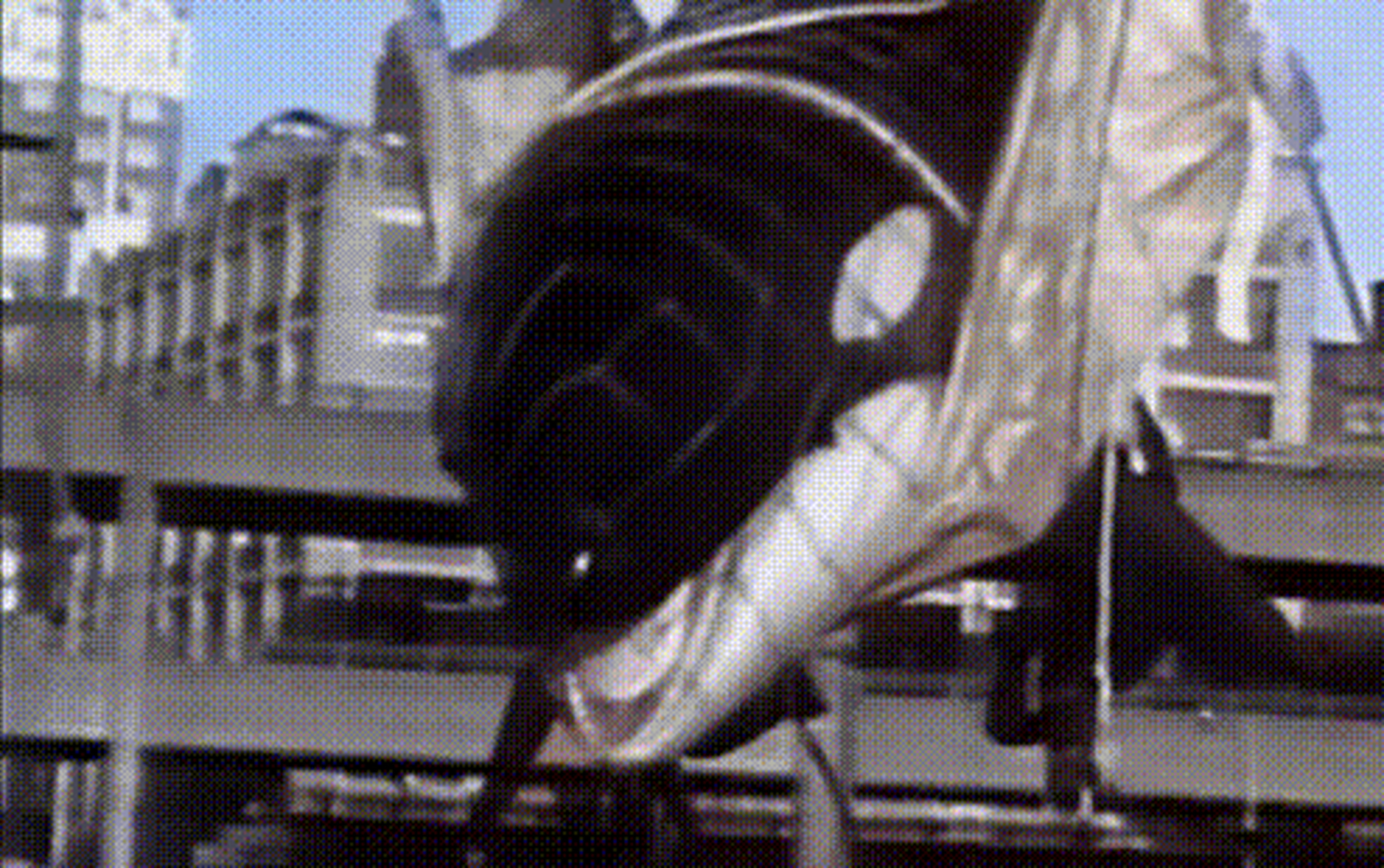 世界第一头杀人虎鲸提里库姆,来自美国.