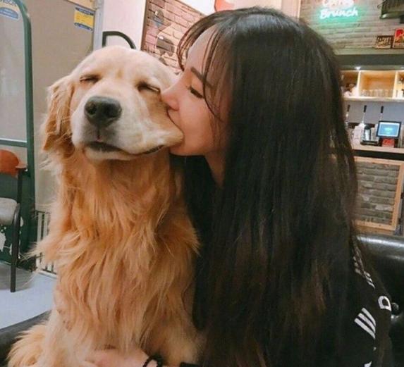 养公狗会"上头",怪不得女生都无法抗拒!