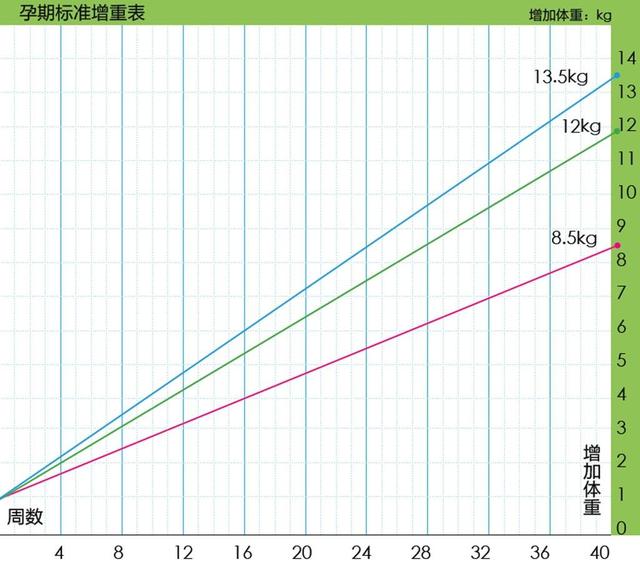 孕期体重增长多少?请参考标准值