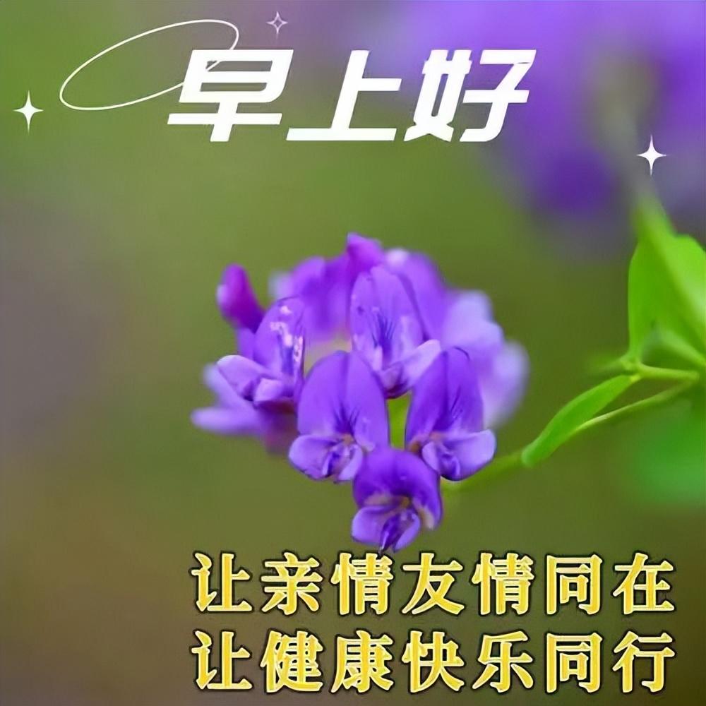 早上好图片带字温馨祝福语