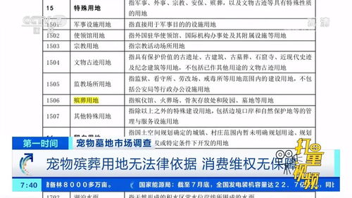 「深圳宠物殡葬清单大揭秘!最全价格表让您心中有数!」