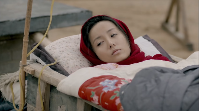 《平凡的世界》:路遥为何如此"狠心"地把秀莲写死呢?