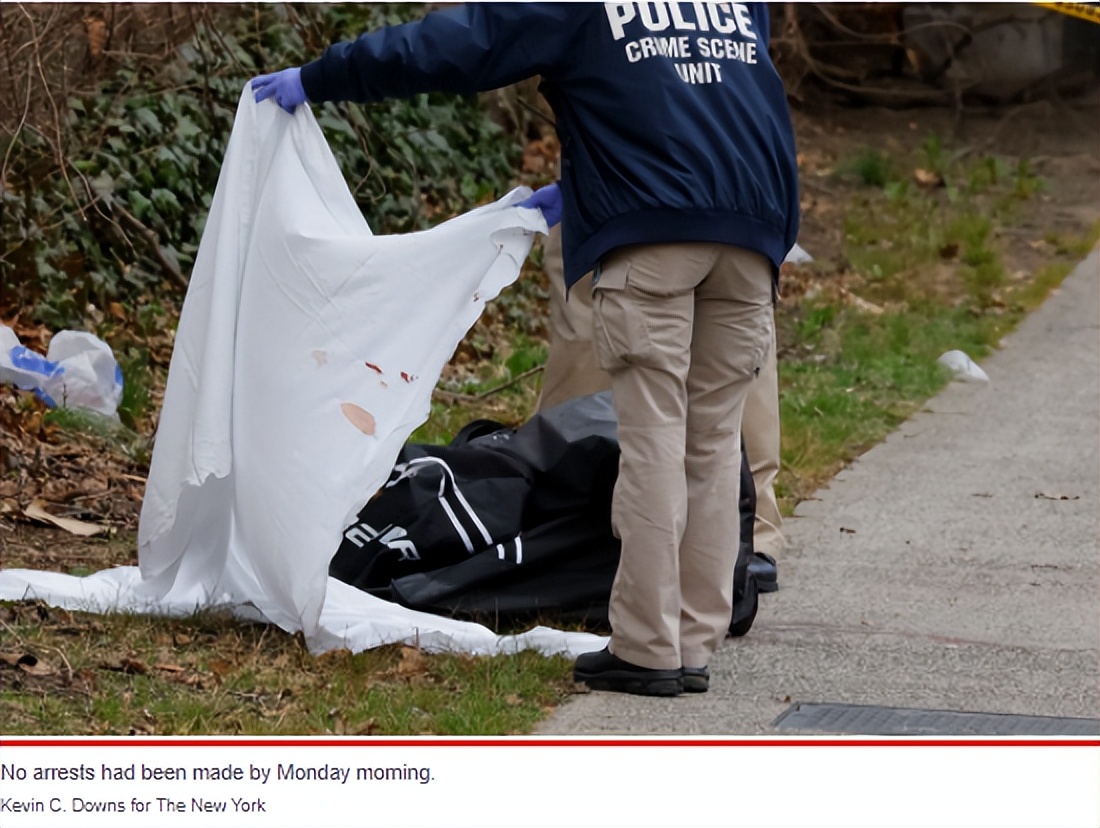 离奇命案!纽约女子被连捅60刀后藏尸行李袋,丈夫收到恐怖短信