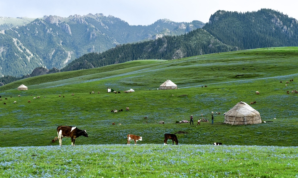 木垒县景点旅游景点图片