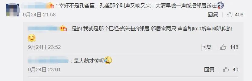 |男子网购孔雀蛋,精心照顾一个月,结果孵出……把网友逗乐了