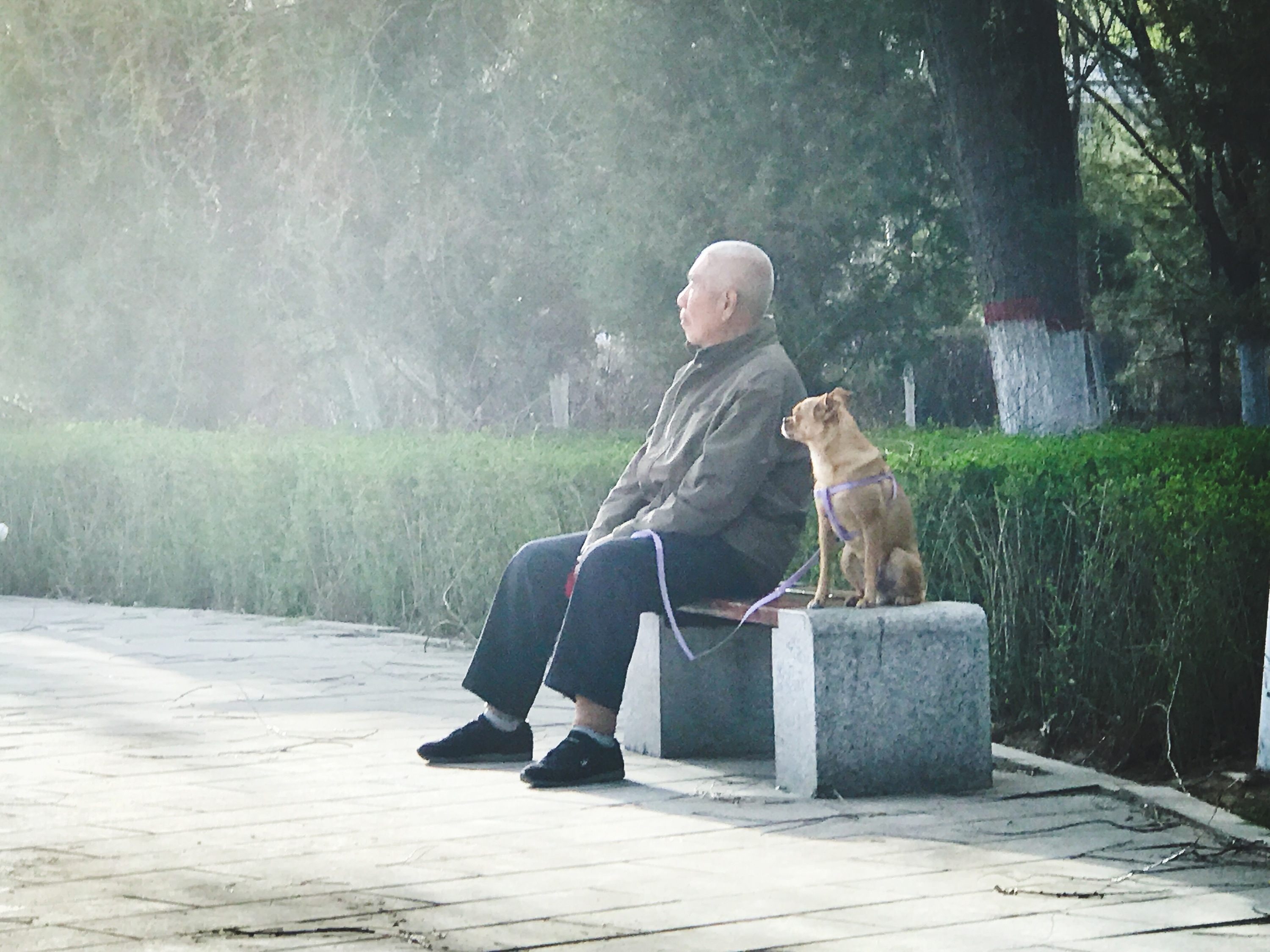 回顾:老人摔倒无人扶最终死亡,家属竟将路人告上法庭,法院怎么判?