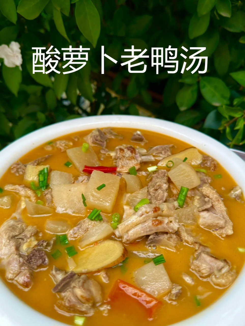 滋养身心的酸萝卜老鸭汤  尝一口酸萝卜老鸭汤,就像是给疲惫的身心