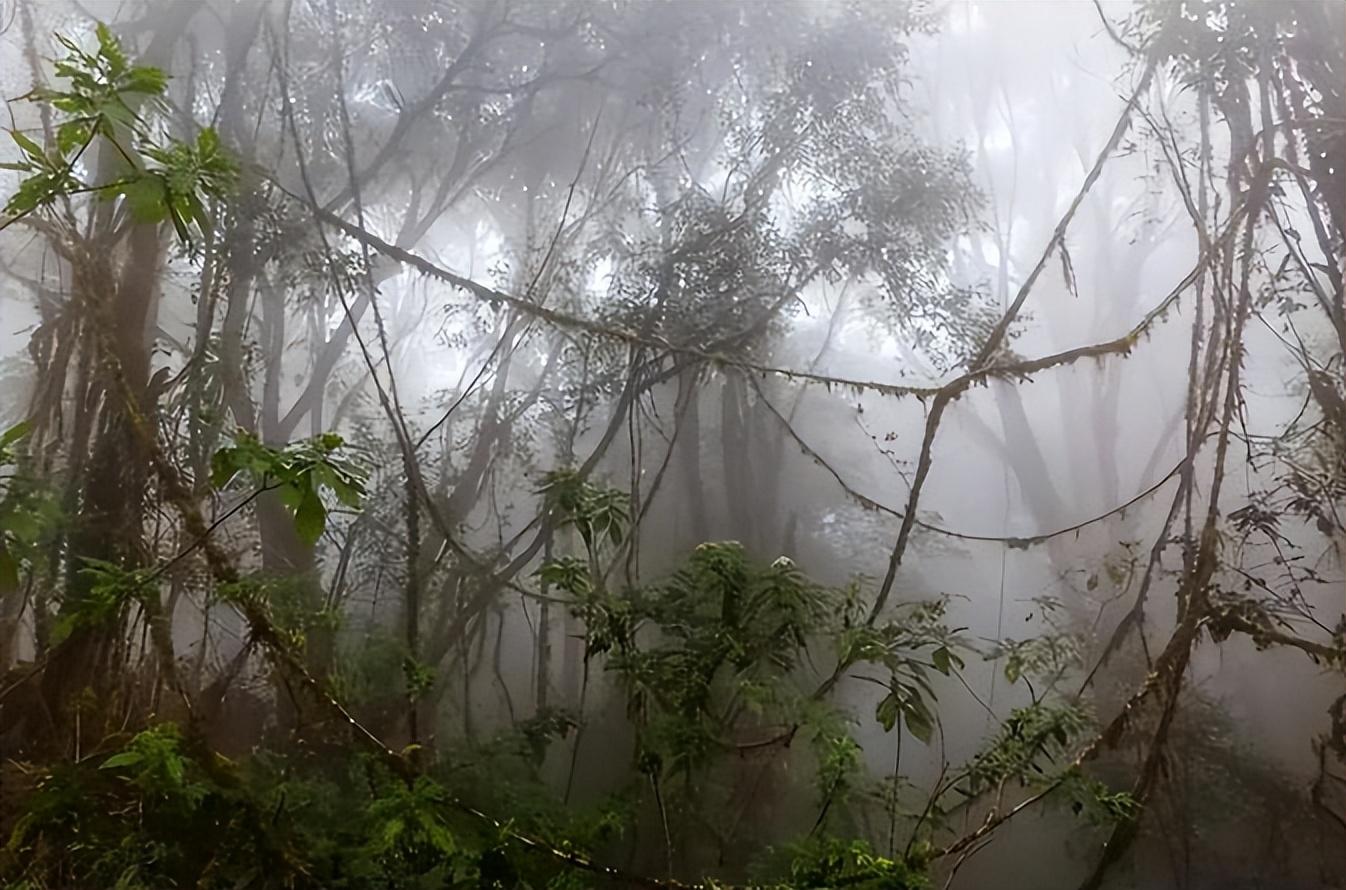 四川黄泉路:国内一级禁区,政府下令封禁400年,背后有何秘密