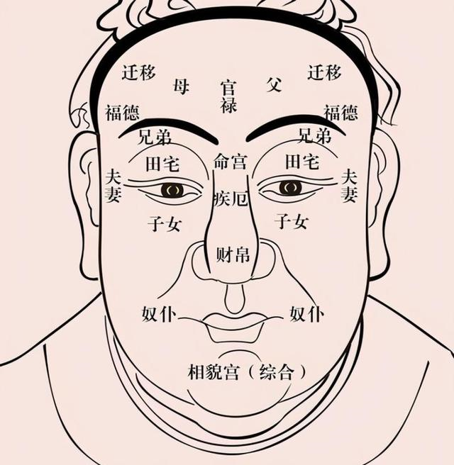农村俗语:眉怕两相交,耳怕个不大,是什么意思?