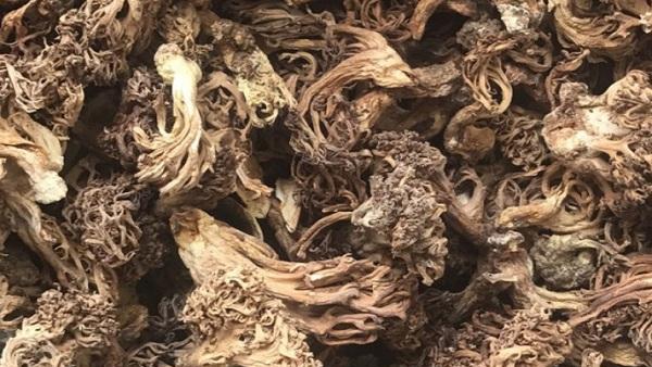 这种野生珍稀菌类,俗称"老鼠脚",市面少见,至今无法人工种植