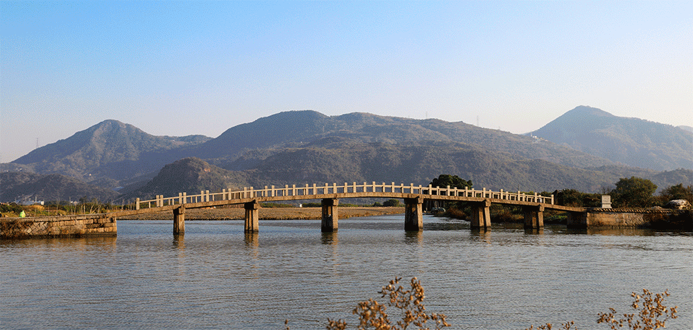 温州三垟的桥儿姿态多,条条玉带映碧波