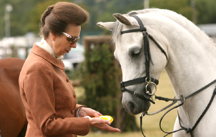 时隔九个月,96岁的英女王终于又骑上了马背,这令人佩服的倔强啊