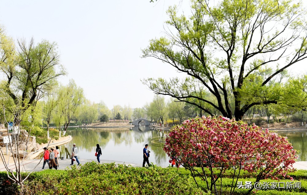 张家口宣化:万柳公园景色美