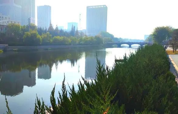 【微发布】即墨通济街道龙泉河被评为省级美丽示范河湖