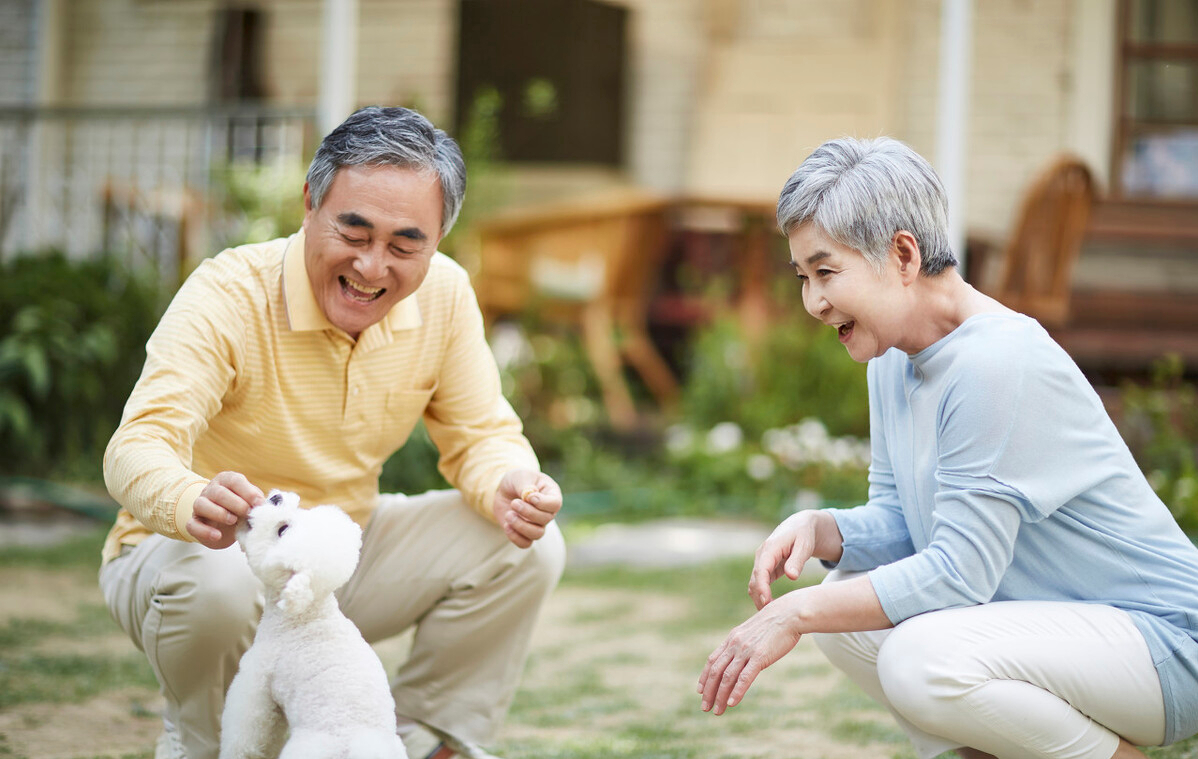 不过选择丁克的夫妻,需要面临的风险也很大,他们以后可能没有人养老