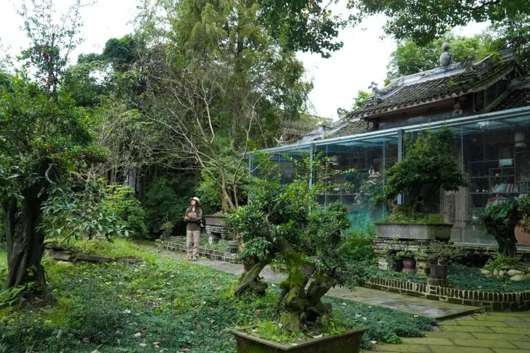 重访鹭鸟庄园:被媒体捧红后,继续孤独打造乐园