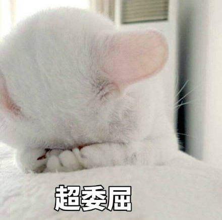 全世界baby通用委屈表情:双眼泪汪汪,鼻子抽抽搭搭,网友:可爱