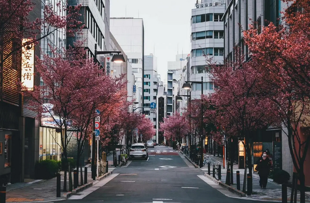 "日本股神"小手川隆:16分钟狂赚20亿,最喜欢做的事是吃泡面