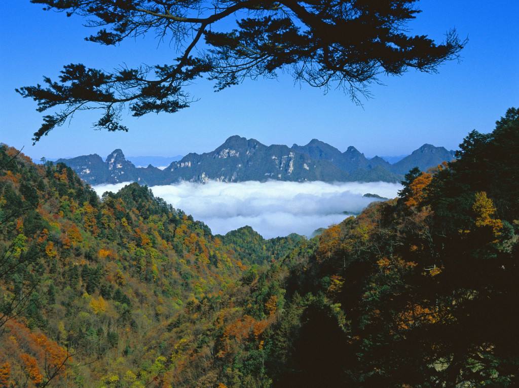 兴山旅游景点有哪些