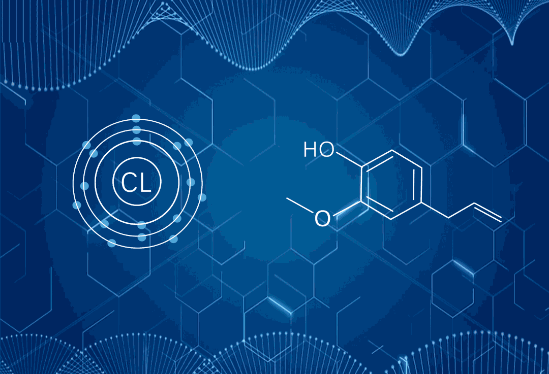 细嗅生命的张力:当丁香油遇上消毒液