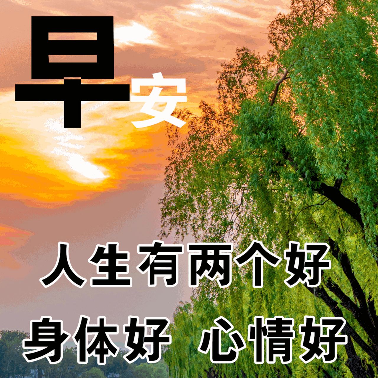 清晨的问候唯美句子#早安心语# #早上好# #早安图片#  1.