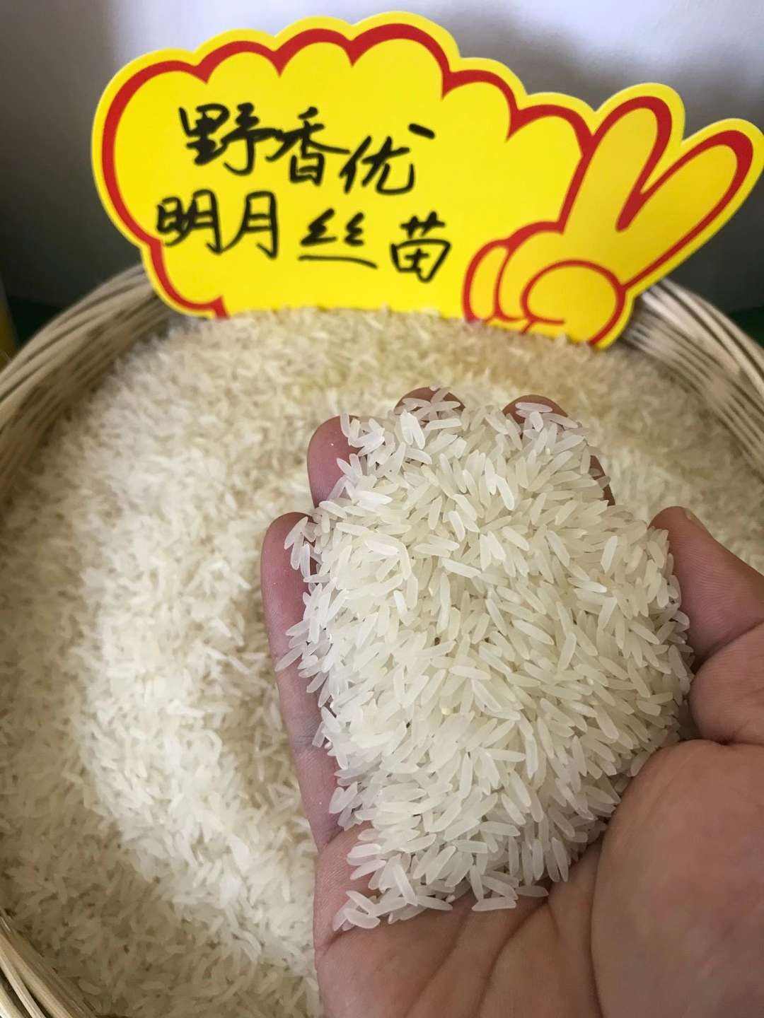 野香优明月丝苗:长粒型优质高产杂交水稻品种