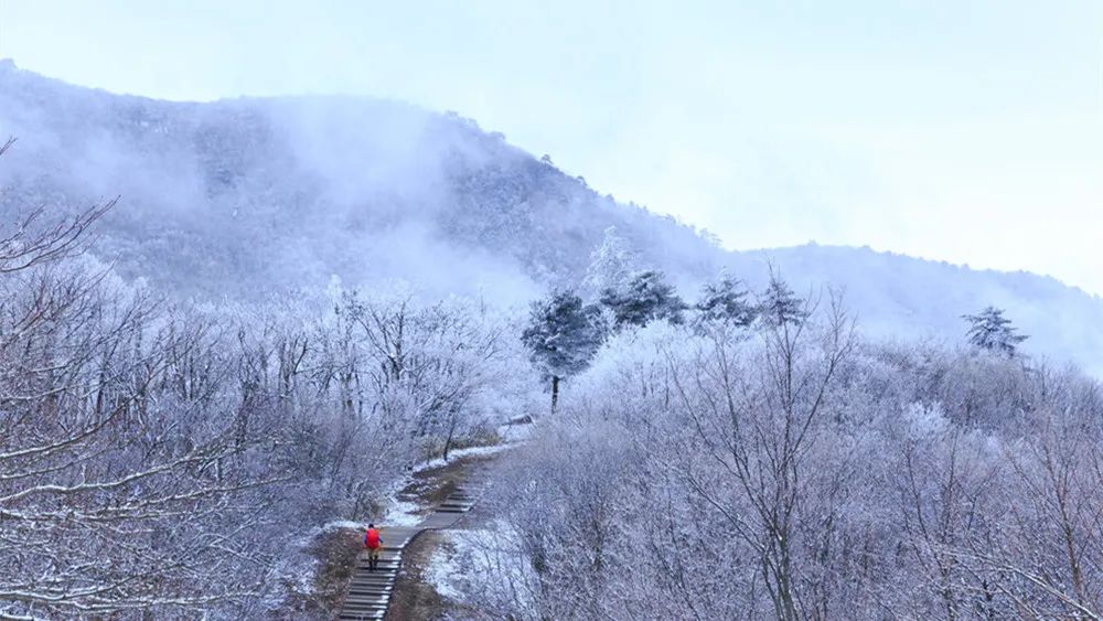 踏雪行走,有着说不出的烂漫