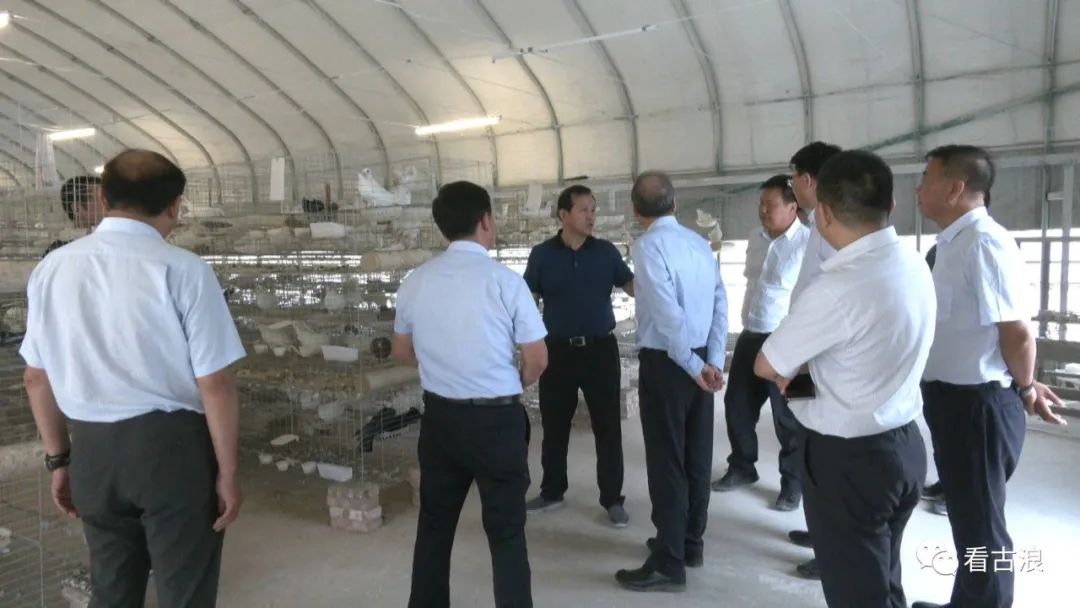 中国化工集团有限公司总经理杨兴强来古浪县考察调研