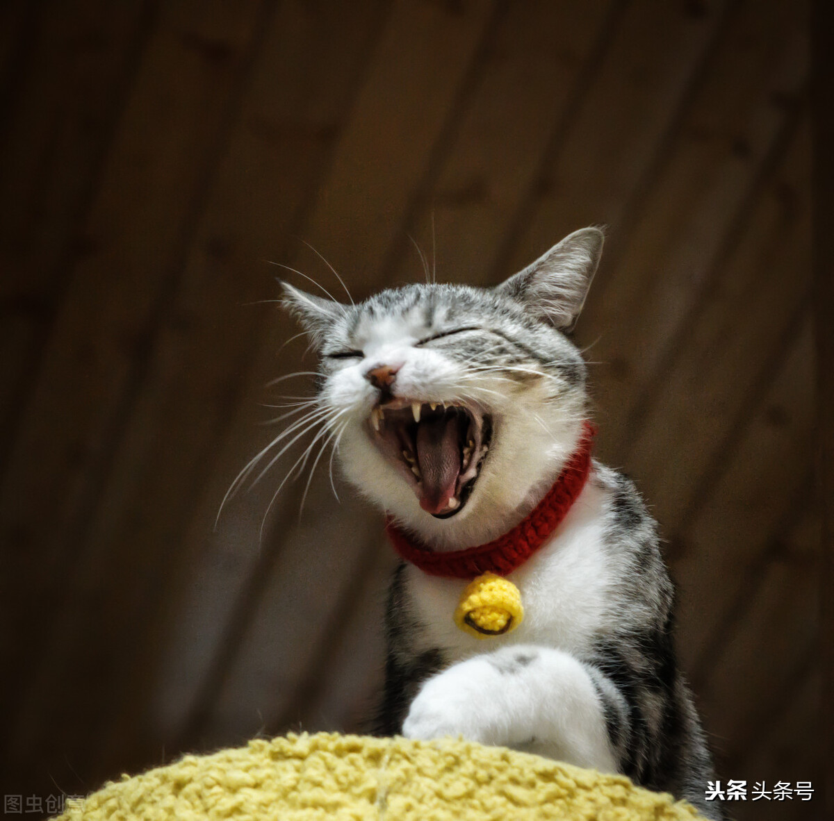 让人开心的搞笑文案