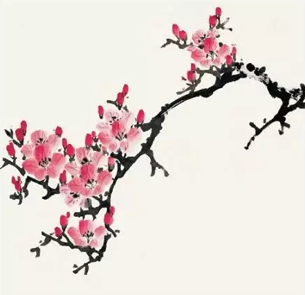 「干货步骤」海棠花与杜鹃花的小写意画法