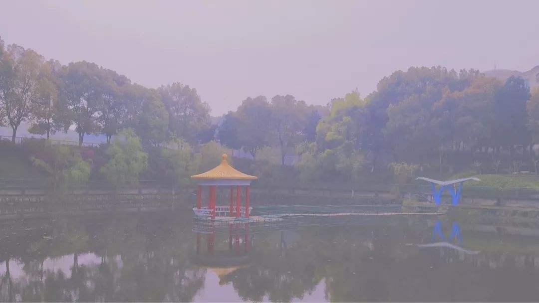 全文免——费阅读 张小北林清清(全集完整版) -开光密史 小说