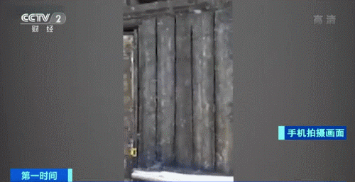 推荐数十亿只蚊子侵袭这座城！网友随手一抹，手上满是蚊子尸体……