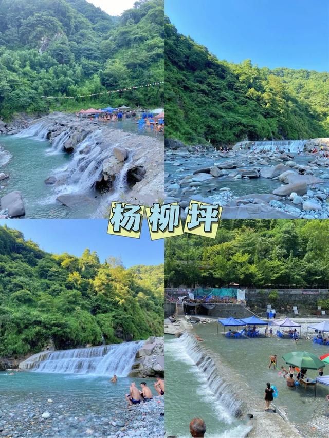 府谷一中王瑞香老师:梦回杨柳坪