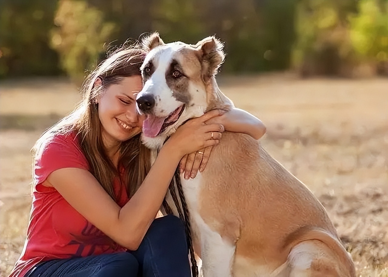 1998年美国女人深夜被杂交犬折磨死后男友报警,兽医:狗不是凶手