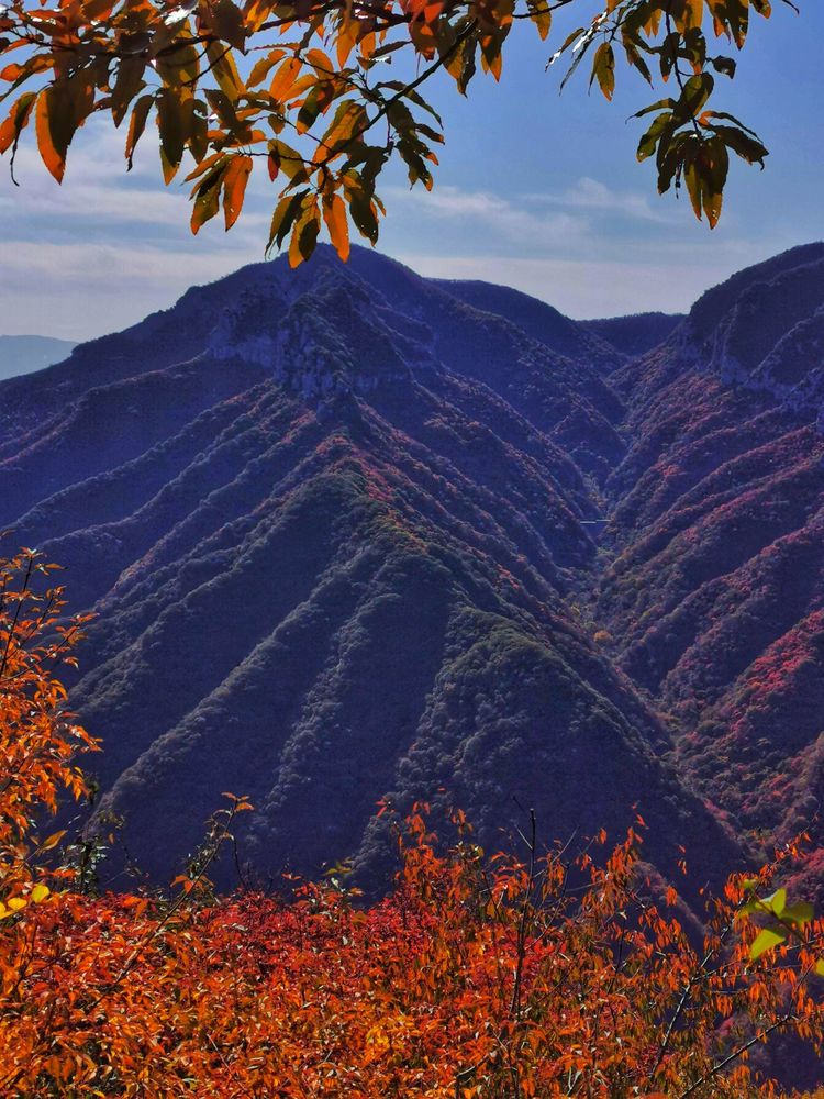 寨石板路悠长,徒步在黄牛寨,节奏放慢,每一眼看到的,都是难忘的风景!
