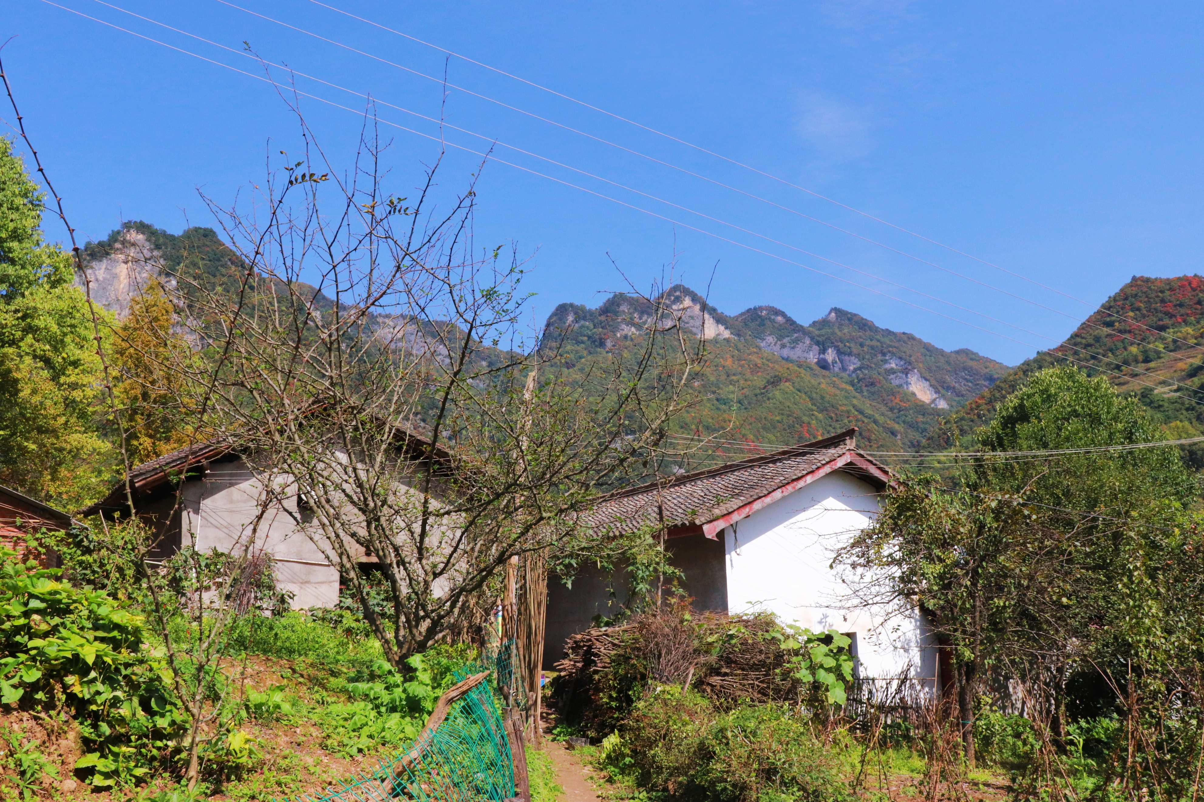 云台山脚下的村庄,白水江镇林家山村,一个美丽静谧的小村子